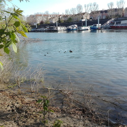 Les derniers cancans